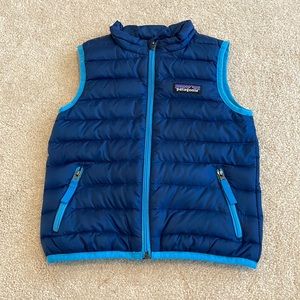 Patagonia Toddler Down Sweater Vest